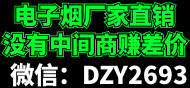 DZY2693